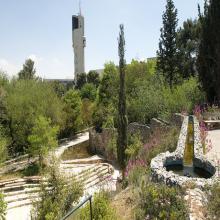 The Botanical Garden in Jerusalem